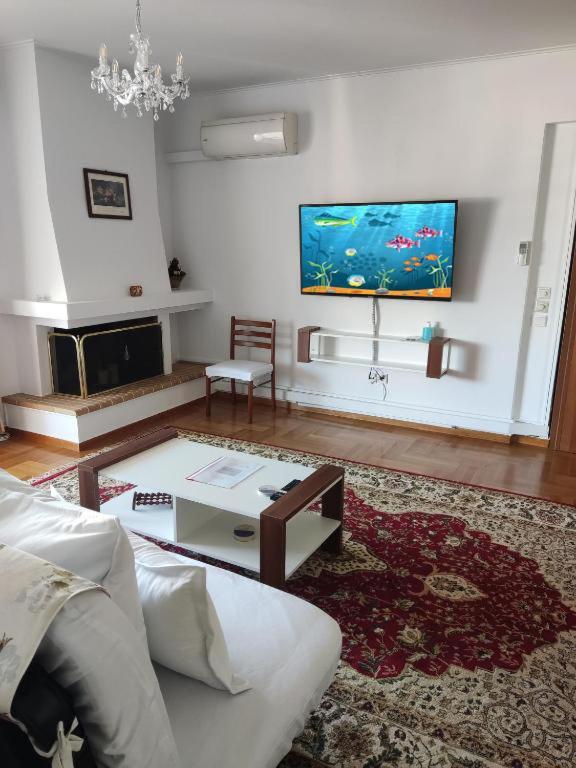 "Athens Light" Luxury Spacy Appartment, Agia Paraskevi Exterior foto